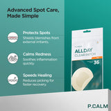 Allday Clear Spot Patch- 36 Patches