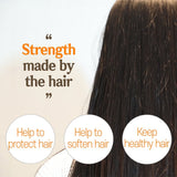 CER-100 Collagen Coating Hair Muscle Shampoo